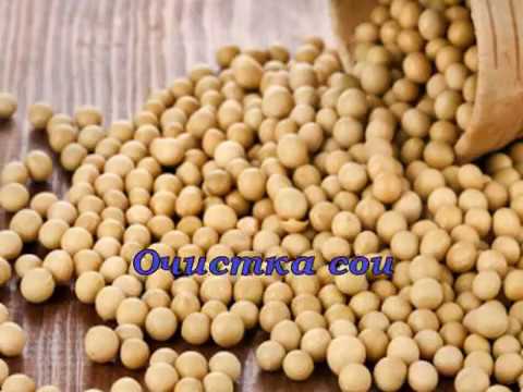 Видео: Очистка сои.Щадящая пофракционная технология очистки сильных  семян