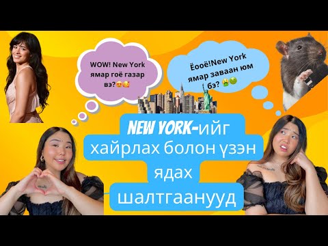 Видео: New York хотод дурлах шалтгаанууд бас үзэн ядах шалтгаанууд | Shall We Chat? Ep.2