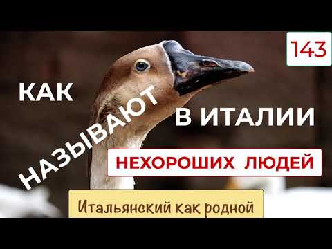 Видео: Полезные слова и словосочетания, которыми называют в Италии нехороших людей и всяких редисок – 143