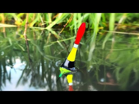 Видео: ЗАБРАЛСЯ В ЛОГОВО РЕАЛЬНЫХ КАРАСЕЙ И ЛИНЕЙ Рыбалка на поплавок