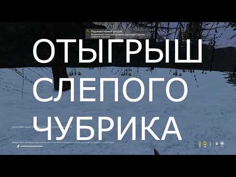 Видео: Слепой сталкер (DayZ STALKER RP)