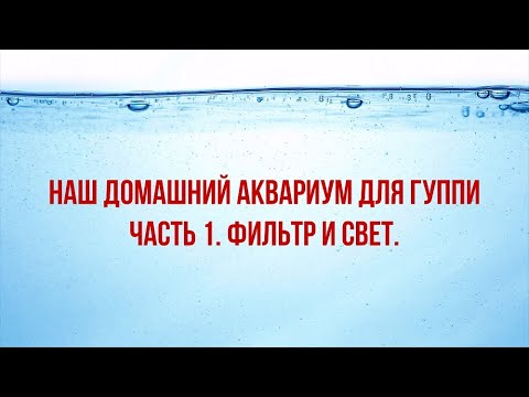 Видео: ДОМАШНИЙ АКВАРИУМ ДЛЯ ГУППИ. ЧАСТЬ 1.  ФИЛЬТР И СВЕТ./A HOME AQUARIUM FOR GUPPIES. FILTER AND LIGHT.