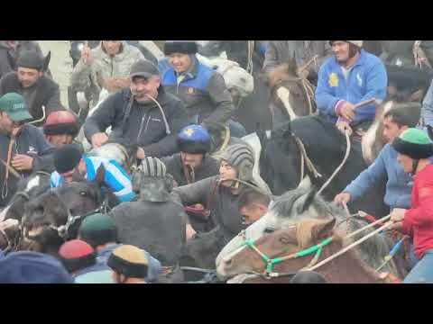 Видео: Караташта болгон улак алды кети #кыргызтан #казакыстан #озбекстан #бишкек #кокбору #рек #ноокат