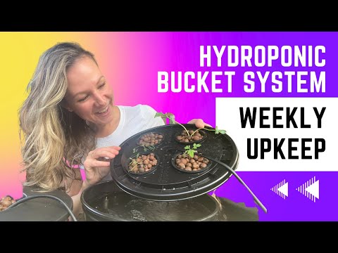Видео: Еженедельная процедура обслуживания системы гидропонного выращивания (видео №5 из серии «Гидропон...