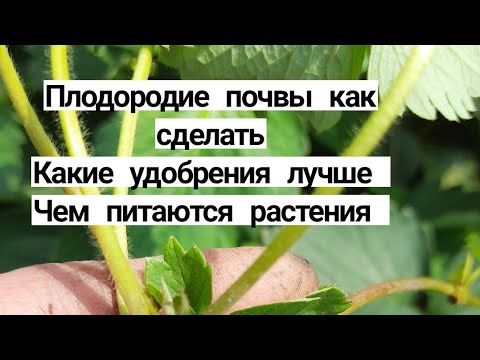 Видео: Плодородие Почва для огорода Какие удобрения лучше для огорода