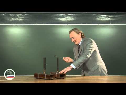 Видео: Биение на камертонах.