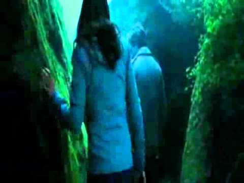 Видео: Кривошапко -Я просто ушел.wmv.AVI