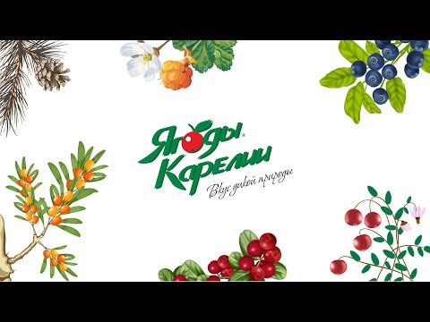 Видео: Ягоды Карелии. Сбор и переработка ягод