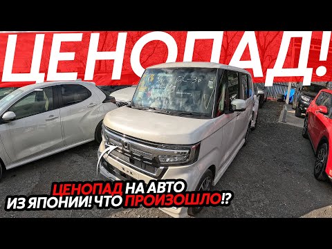 Видео: ЦЕНОПАД АВТО ИЗ ЯПОНИИ😱ЦЕНЫ ОТ 550ТЫСЯЧ РУБЛЕЙ🔥КАК НЕ КУПИТЬ КОТА В МЕШКЕ⁉️БОЛЬШОЕ ПРИБЫТИЕ АВТО❗️