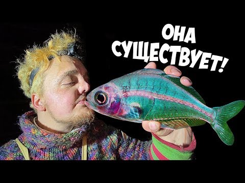 Видео: ИЩЕМ ПРОЗРАЧНУЮ РЫБУ | РЫБА МАРАМОЙКА !!