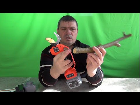 Видео: электрический  аккумуляторный секатор с Алиэкспресс.