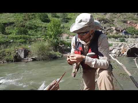 Видео: рыбалка в Армении (Форель) / Ձկնորսություն Հայաստանում (Կարմրախայտ)