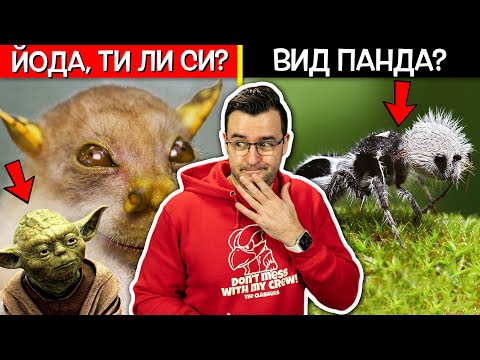 Видео: ТОП 10 ЖИВОТНИ, които се РАДВАМЕ, че НЕ ВИЖДАМЕ всеки ден 😱