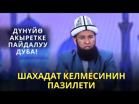 Видео: ШАХАДАТ КЕЛМЕСИНИН ПАЗИЛЕТИ /жаңы сабак/ 23 01 2025