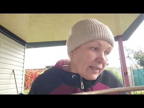 Видео: Як зберегти росаду до весни