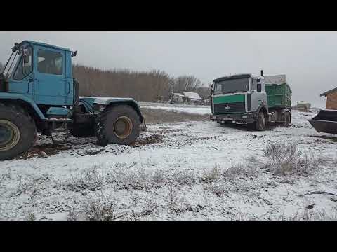 Видео: т 150 вытягивает из грязи груженый супер маз. Зима ❄⛄