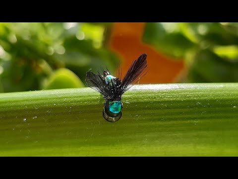 Видео: Мормомушка - КК Муха на головля, язя, плотву, краснопёрку...