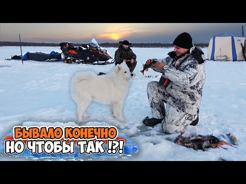 Видео: ЖИВЁМ В ТУНДРЕ НА ЛЬДУ \ Я В АХ... ТАКОГО КЛЁВА НЕ ПРИПОМНЮ \ ТРЕЩАЛИ ЛЕСКИ, КРОШИЛИСЬ УДОЧКИ