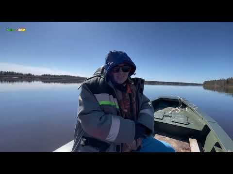 Видео: В выходной на реке. Рыбалка на донки. Река Вычегда.