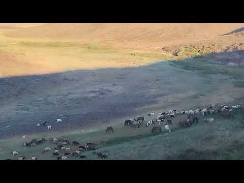 Видео: 23 августа 2024 г.