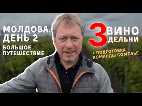 Видео: [ВИННОЕ ПУТЕШЕСТВИЕ ПО МОЛДОВЕ] День 2. Три винодельни и подготовка команды сомелье!