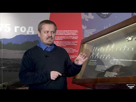 Видео: Пименовский клад: воинский пояс и денарии из Курска