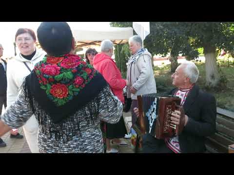 Видео: БОЛЬШАЯ МАТАНЯ, играет гармонист-рояльщик Юрий ПОЛУНИН