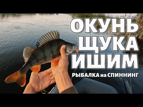 Видео: НАЛОВИЛ ЗА ЧАС ОКУНЬ и ЩУКА на СПИННИНГ - РЫБАЛКА ИШИМ