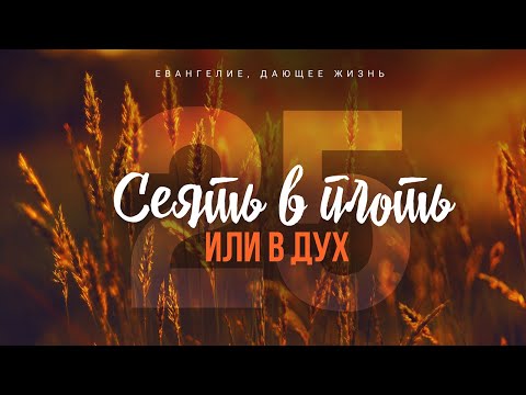 Видео: Галатам: 25. Сеять в плоть или в дух (Алексей Коломийцев)