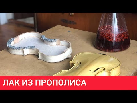 Видео: Лак Страдивари из прополиса