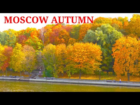 Видео: Осеннее волшебство в Москве – путешествие сквозь цвета