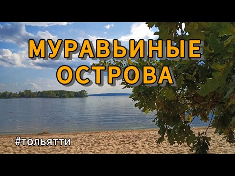 Видео: МУРАВЬИНЫЕ ОСТРОВА | Встреча на закате дня | Тольятти