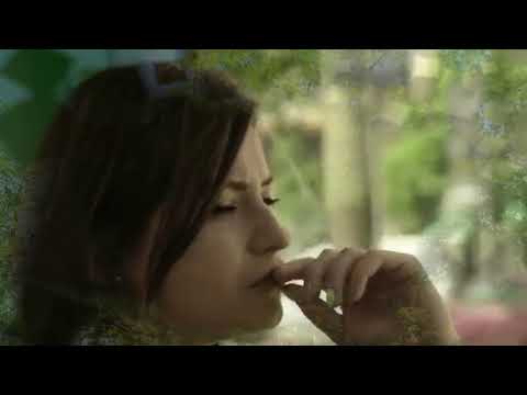 Видео: ТАКУЮ ПЕСНЮ ВЫ НЕ СМОЖЕТЕ ЗАБЫТЬ  💐"ВЕТКА  СОРВАНА..."💐  ИРЕНА (баян)