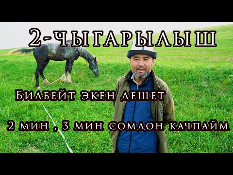 Видео: АТТЫ кантип тазалоо керек?
