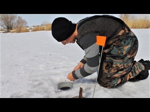 Видео: Щука на жерлицы в марте. Закрытие сезона зимней рыбалки на жерлицы. Куча поклевок на жерлицы.