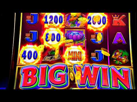 Видео: Дракон дал тройной бонус!