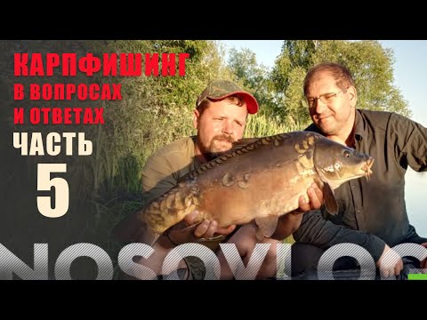 Видео: Карпфишинг в вопросах и ответах, Колесников А., часть 5