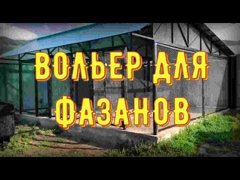 Видео: Вольер для содержания фазанов.