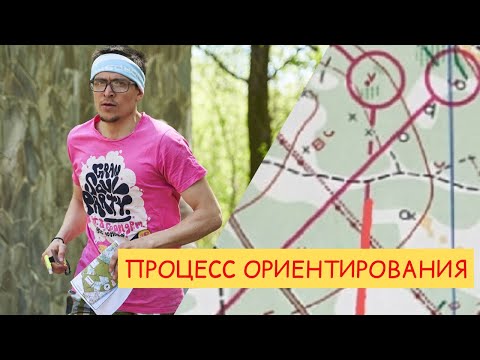 Видео: Действия на дистанции. Спортивное ориентирование. "Московский меридиан"