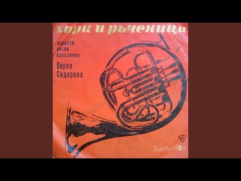 Видео: Стуян кон седлае