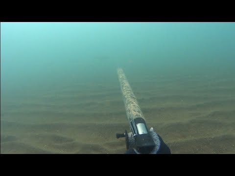 Видео: 15.09.2024 Пассивная подводная охота на кефаль на Чёрном море в Туапсинском районе