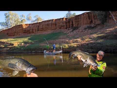 Видео: Ловля самой большой пресноводной рыбы Австралии!