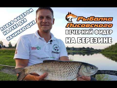 Видео: Ловля фидером на реке для начинающих. Рыбалка на Березине.