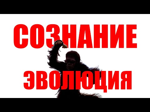Видео: Эволюция и сознание в фильме 2001: Космическая одиссея