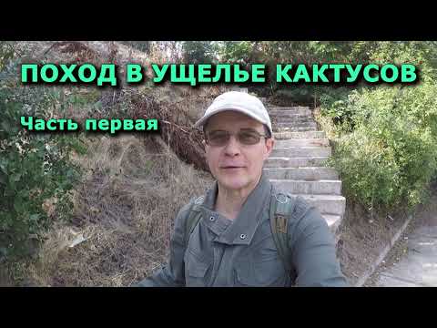 Видео: Поход в ущелье кактусов 01 #Чили #походвгоры #горныйтуризм #путешествия #приключения #кактусы #горы