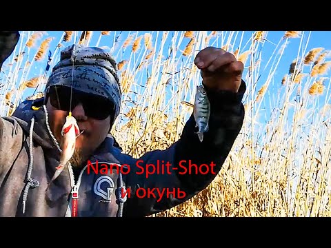 Видео: Nano Split-Shot и окунь. Ловля окуня не совсем обычным способом. XUL.