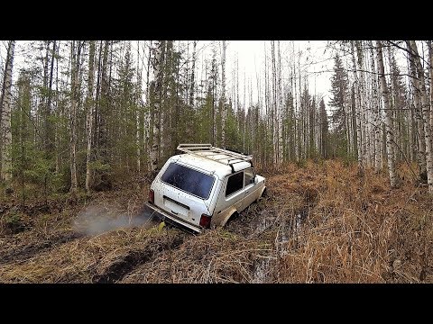 Видео: ЭТО ЖЕСТЬ! ''ТАЙГА'' ТОНУ В БОЛОТАХ, СПАСАЕТ БОЛОТОХОД! ЛОМАЕТСЯ МАШИНА! ПРОБИРАЮСЬ НА СТР-ВО ИЗБЫ