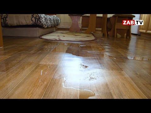 Видео: Почему никто не может остановить потоп в доме на Девичей сопке?