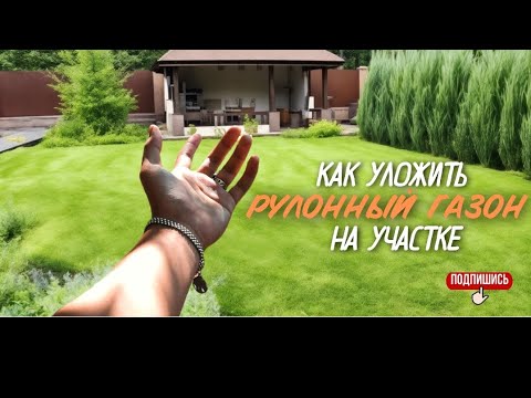 Видео: Укладка рулонного газона#благоустройствотерритории#газон#дача 