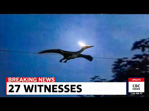 Видео: Самая ужасающая тайна в истории Айовы